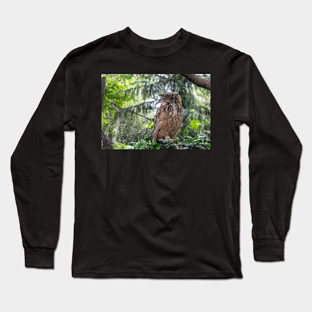 Indian eagle-owl Long Sleeve T-Shirt by lena-maximova